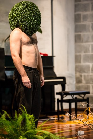 'Philodentrus'_crédito Renato Mangolin_336_menor