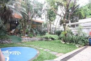 fb_img_1543212151379-1